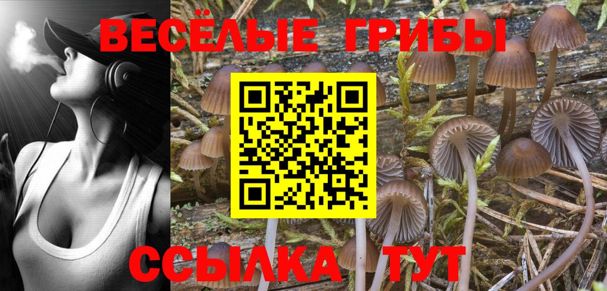 Галлюциногенные грибы прущие грибы  Псилоцибиновые грибы MAGIC MUSHROOMS  сколько стоит  Димитровград  Вход с VPN 